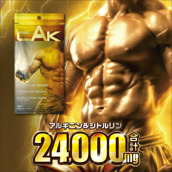 宅トレ限界突破！『アルギニン 120粒』で筋肉の血流と成長ホルモンを科学する